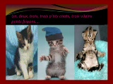 Vid�o 1-2-3 Trois p'tits chats